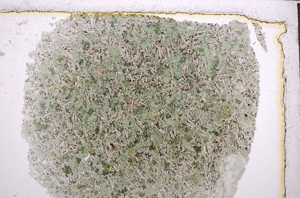 Plane Polarized, E21667