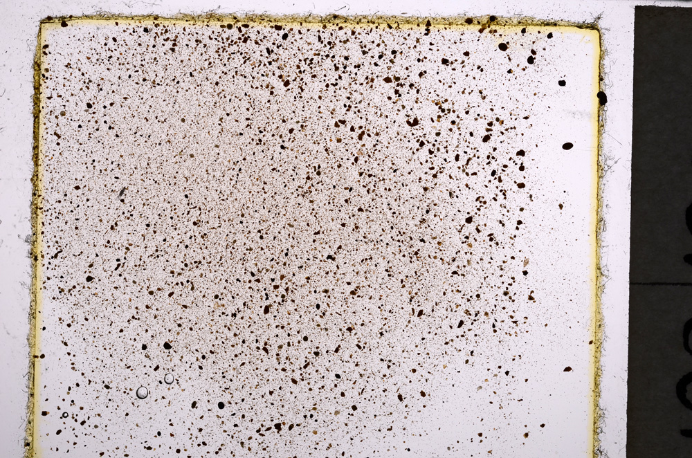 Plane Polarized, E21674/A