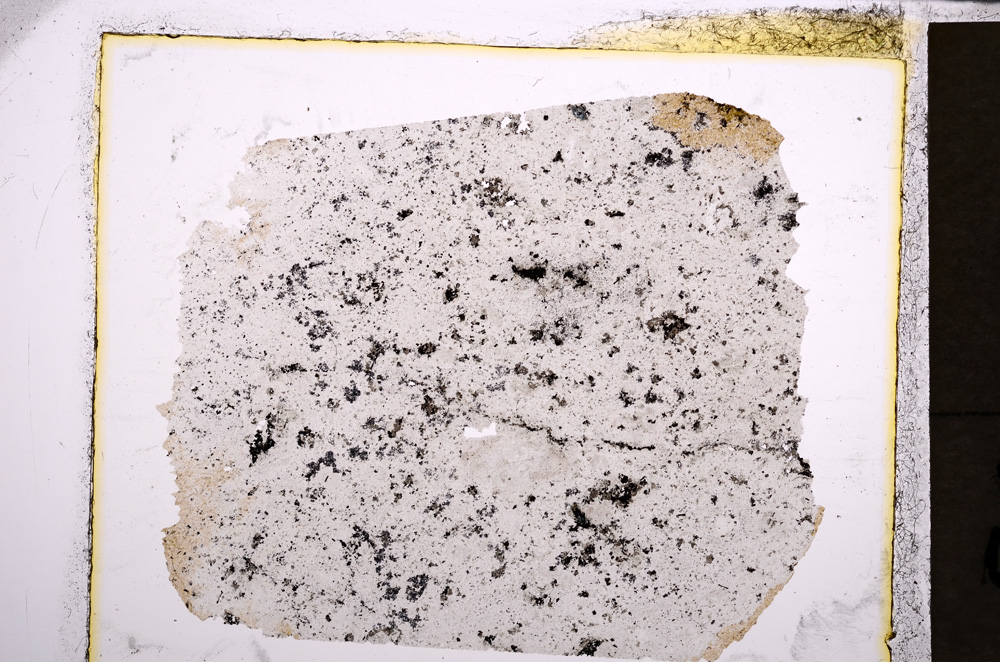 Plane Polarized, E21683