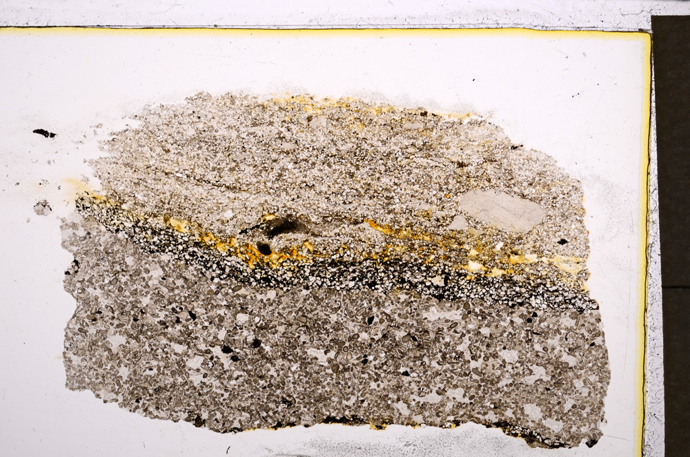 Plane Polarized, E21687