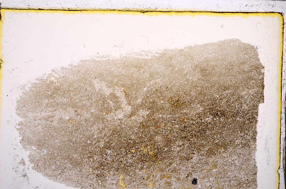 Plane Polarized, E21691