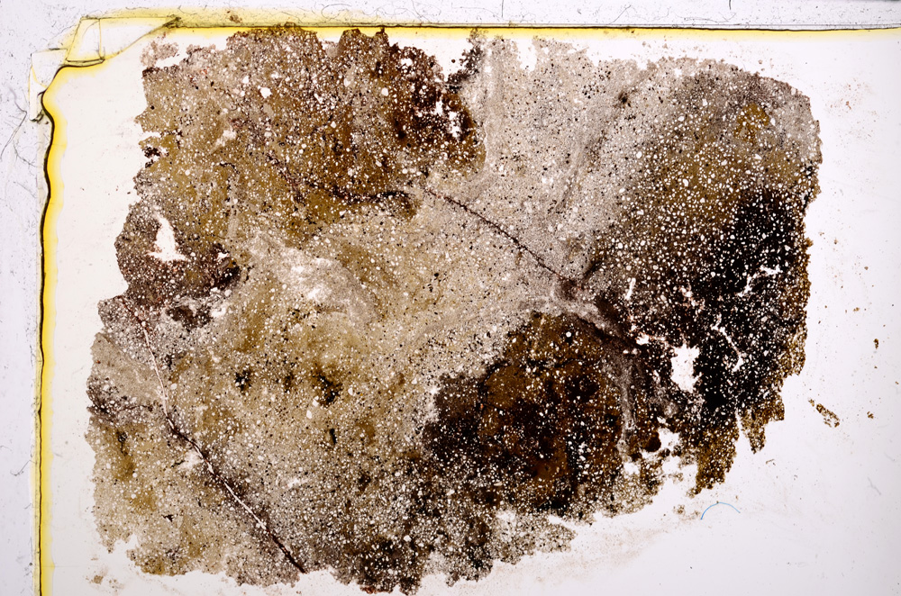 Plane Polarized, E21692