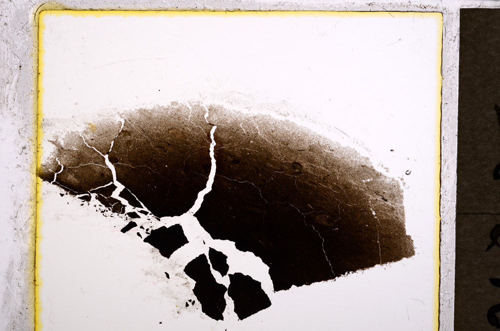 Plane Polarized, E21696