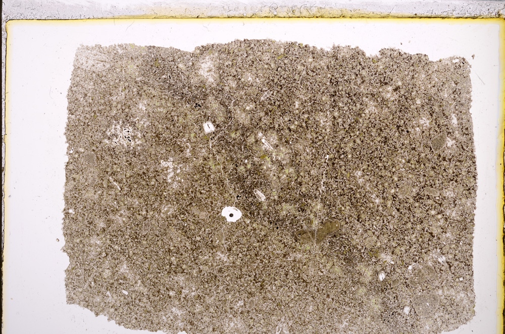Plane Polarized, E21697