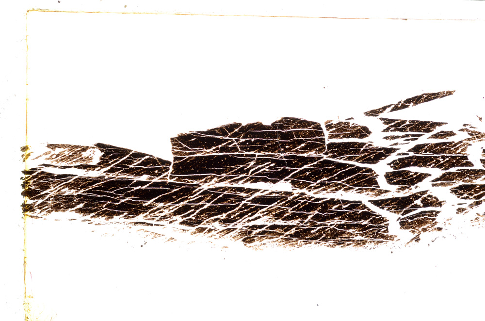 Plane Polarized, E21718