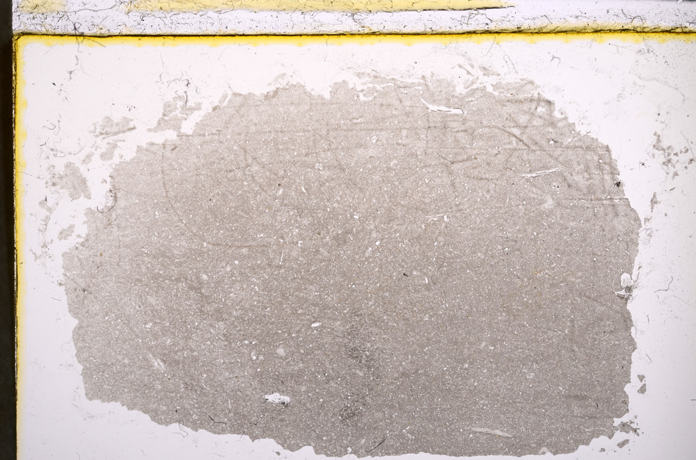 Plane Polarized, E21728