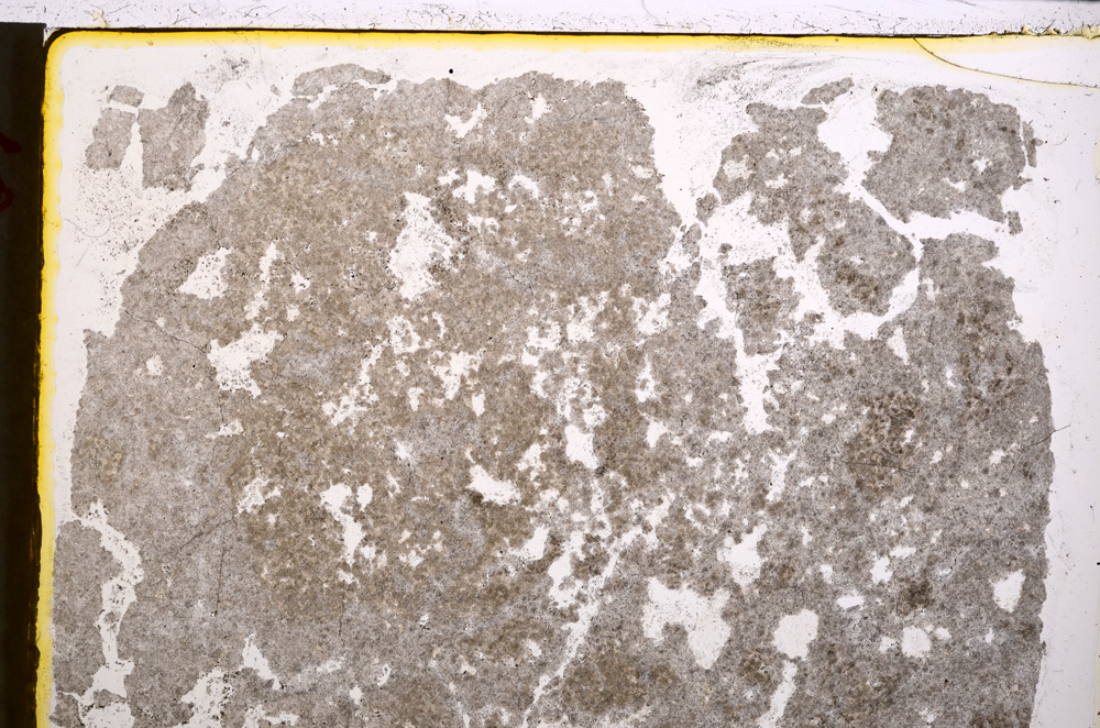 Plane Polarized, E21733