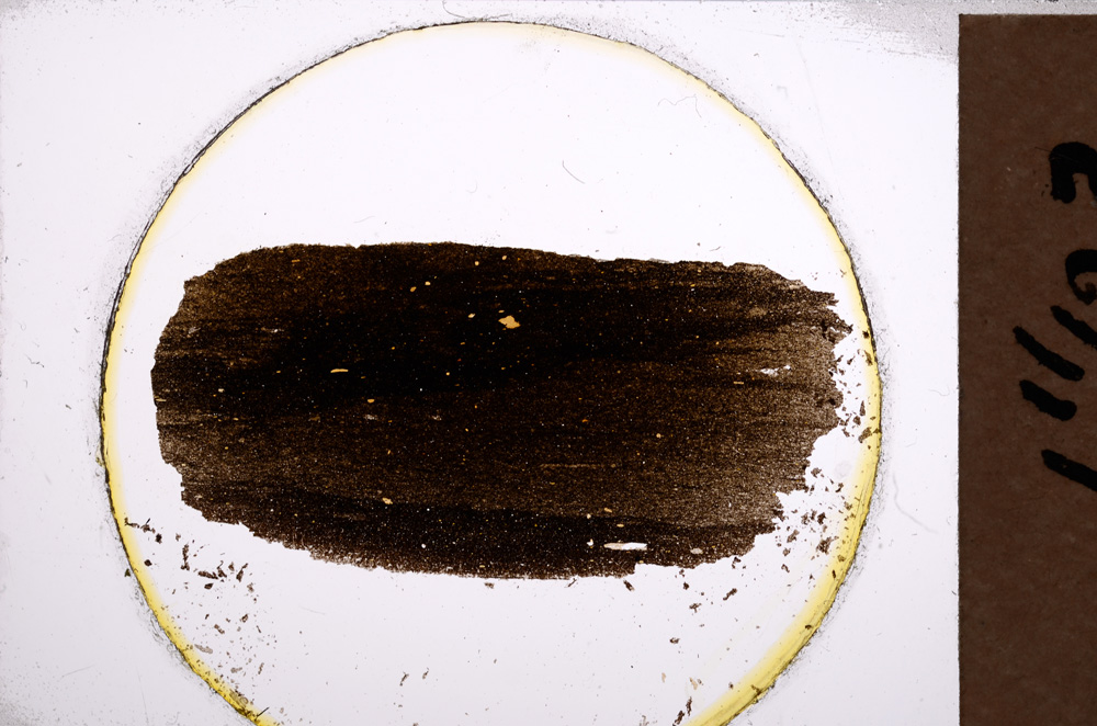 Plane Polarized, E21741