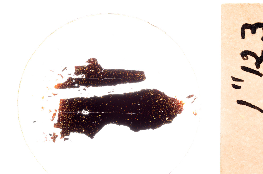 Plane Polarized, E21742