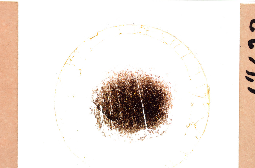 Plane Polarized, E21743