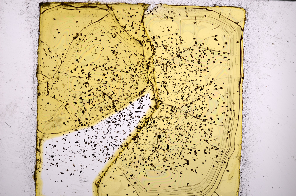 Plane Polarized, E21788