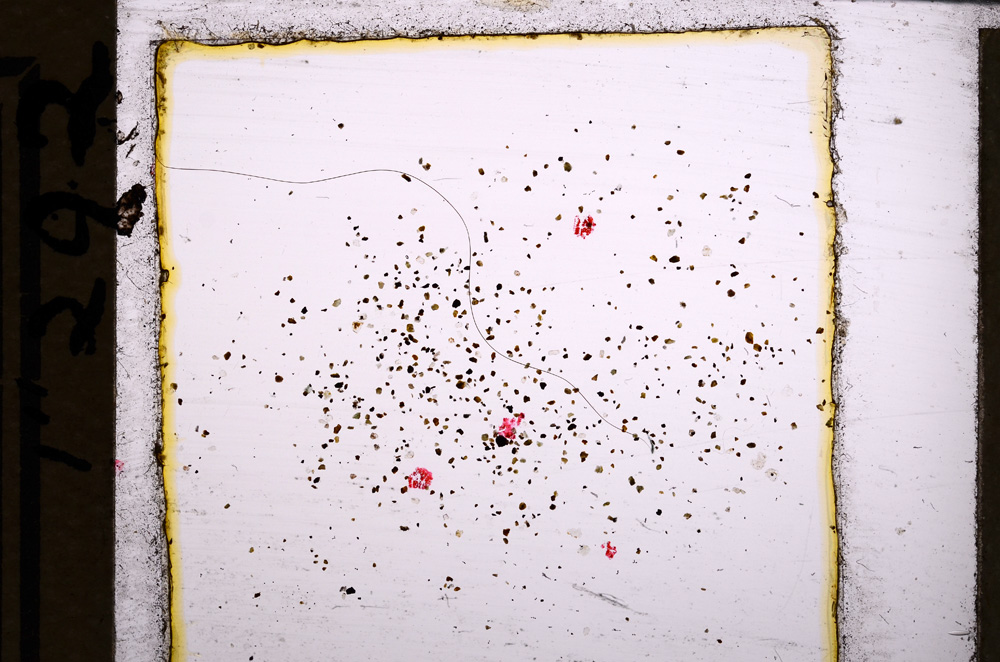 Plane Polarized, E21797