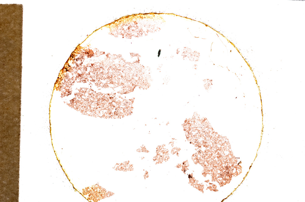 Plane Polarized, E21842