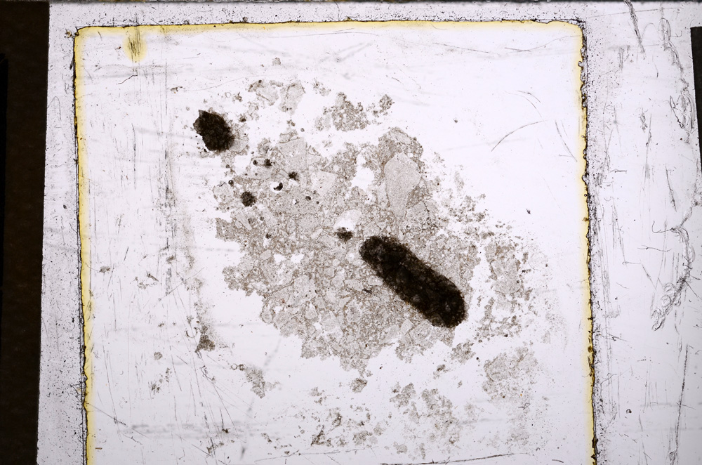 Plane Polarized, E21847
