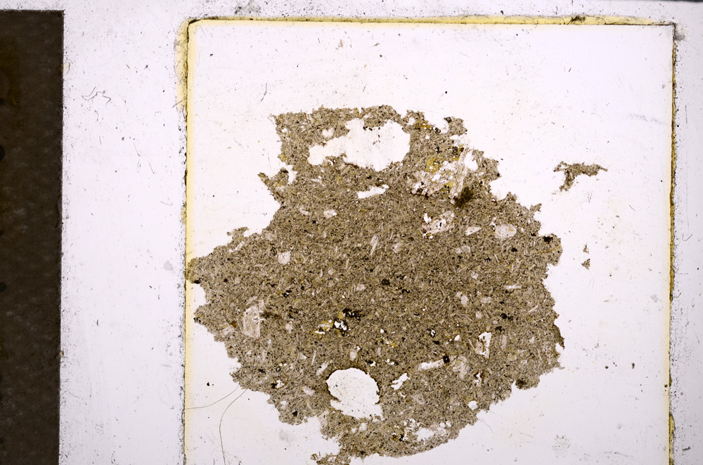 Plane Polarized, E21865