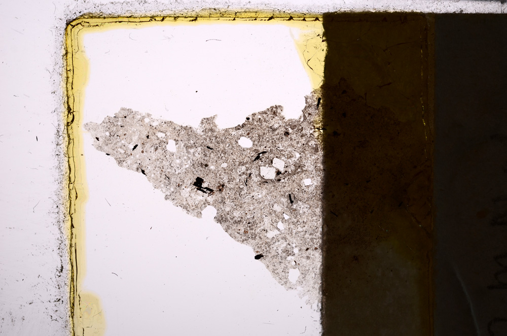 Plane Polarized, E21981