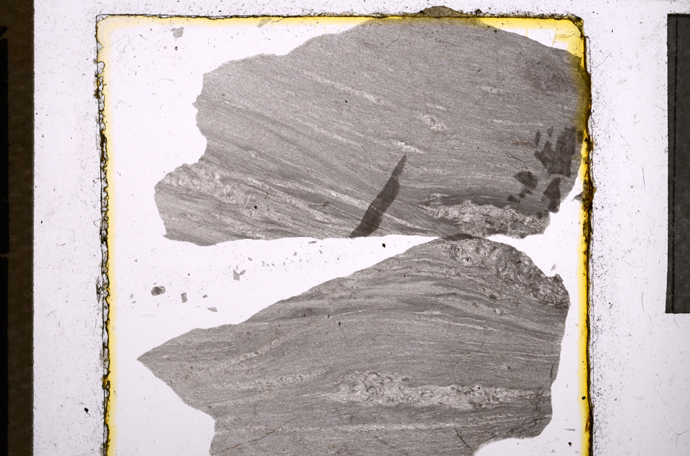 Plane Polarized, E21986