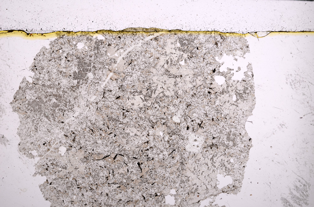 Plane Polarized, E21988