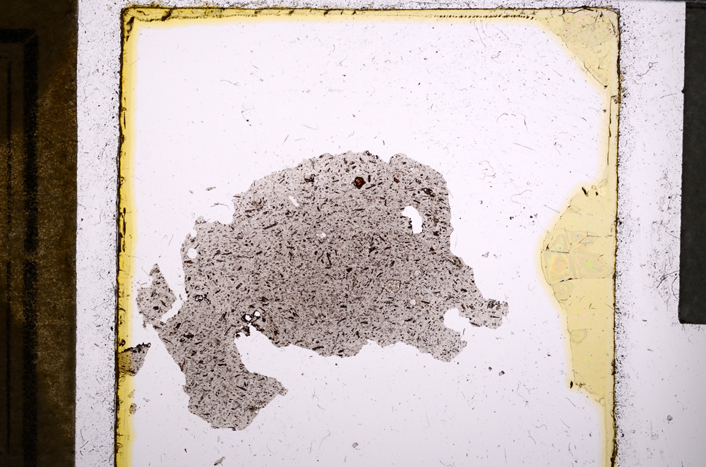 Plane Polarized, E21990