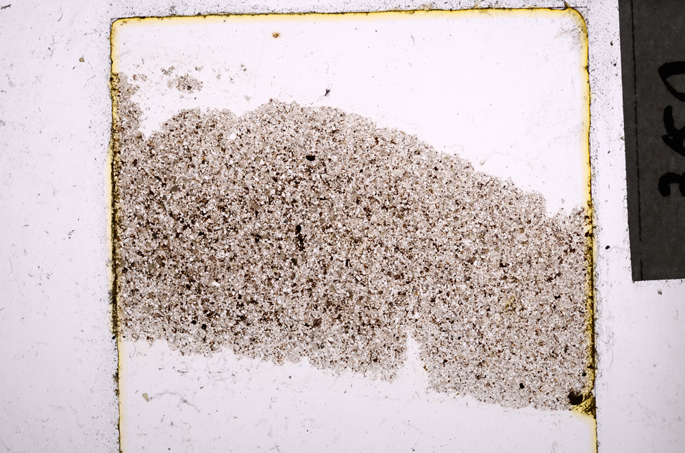 Plane Polarized, E21994