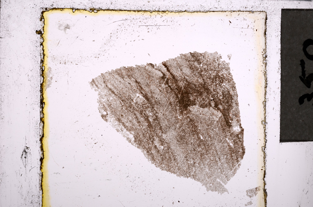 Plane Polarized, E22000