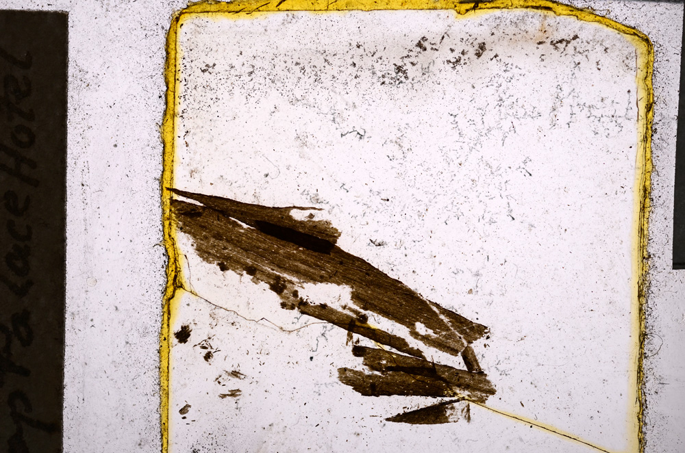 Plane Polarized, E22005