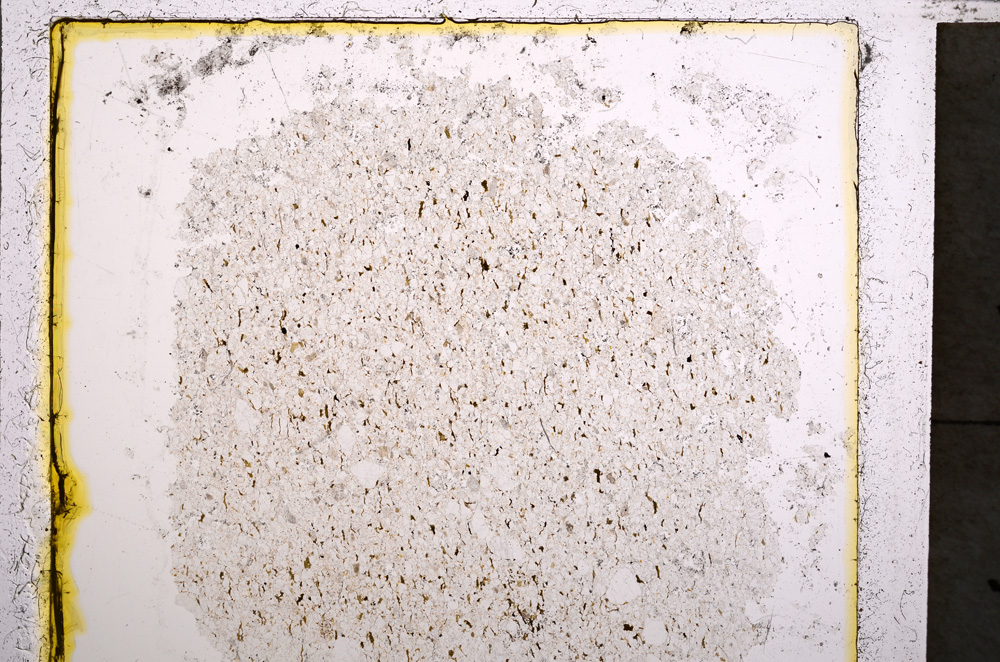 Plane Polarized, E22020