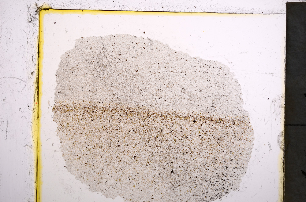 Plane Polarized, E22022