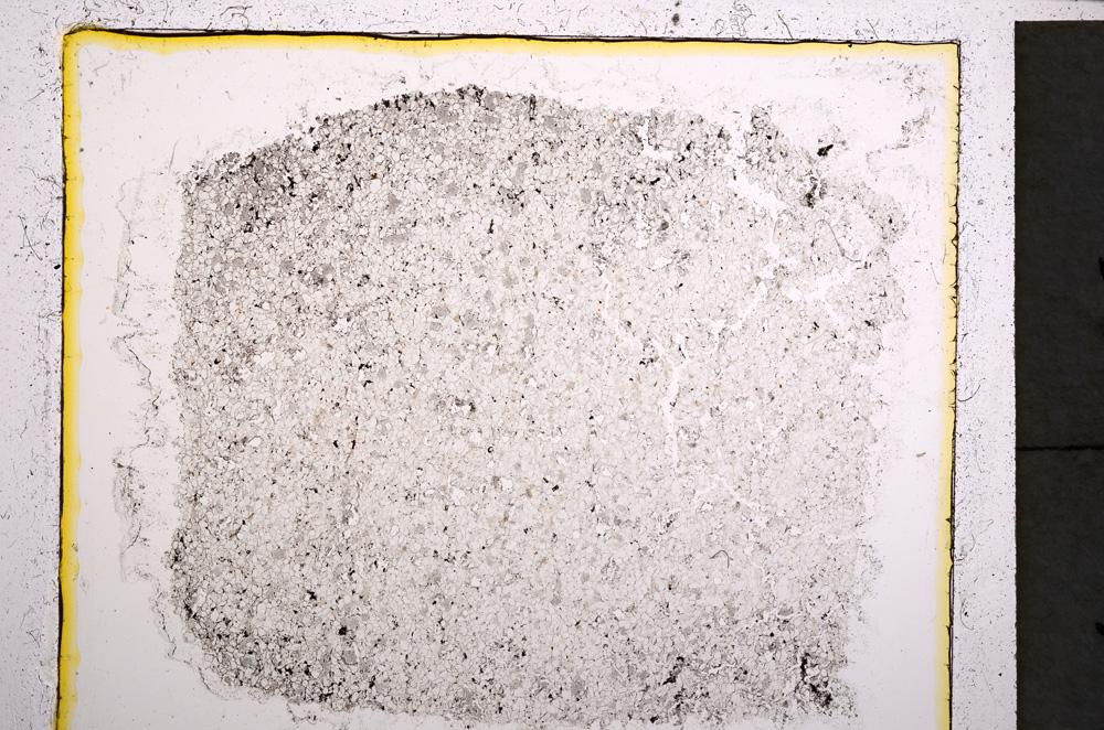 Plane Polarized, E22026