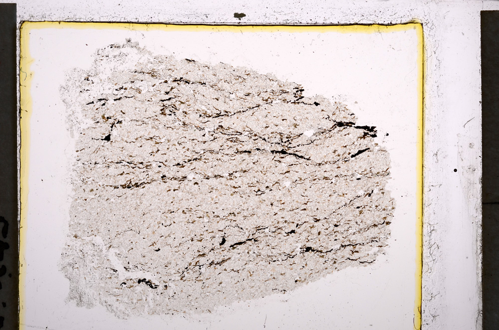 Plane Polarized, E22027