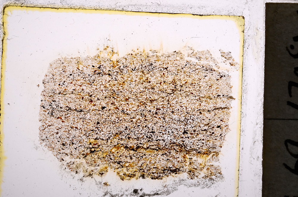 Plane Polarized, E22030