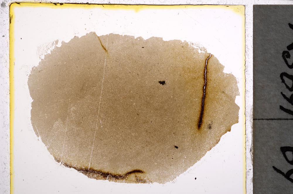 Plane Polarized, E22032