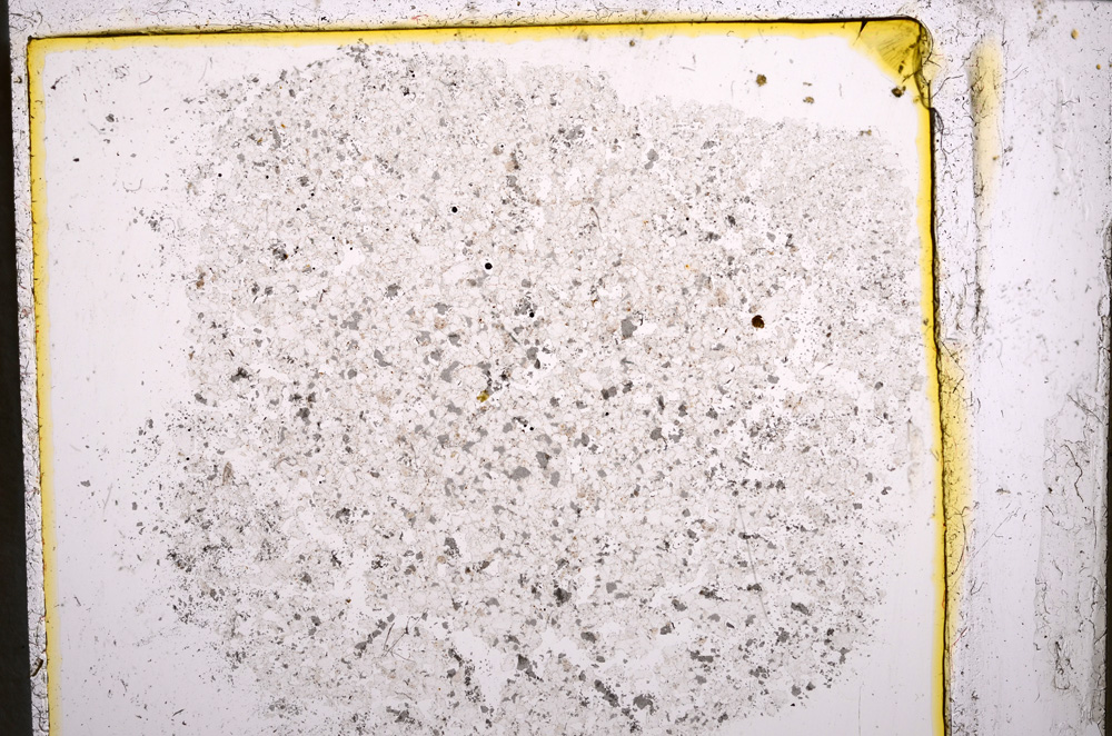 Plane Polarized, E22034