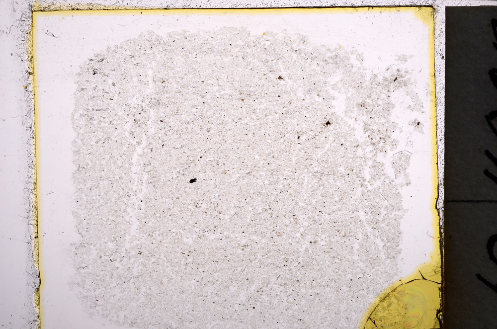 Plane Polarized, E22035