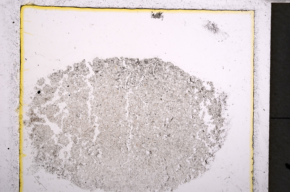 Plane Polarized, E22037