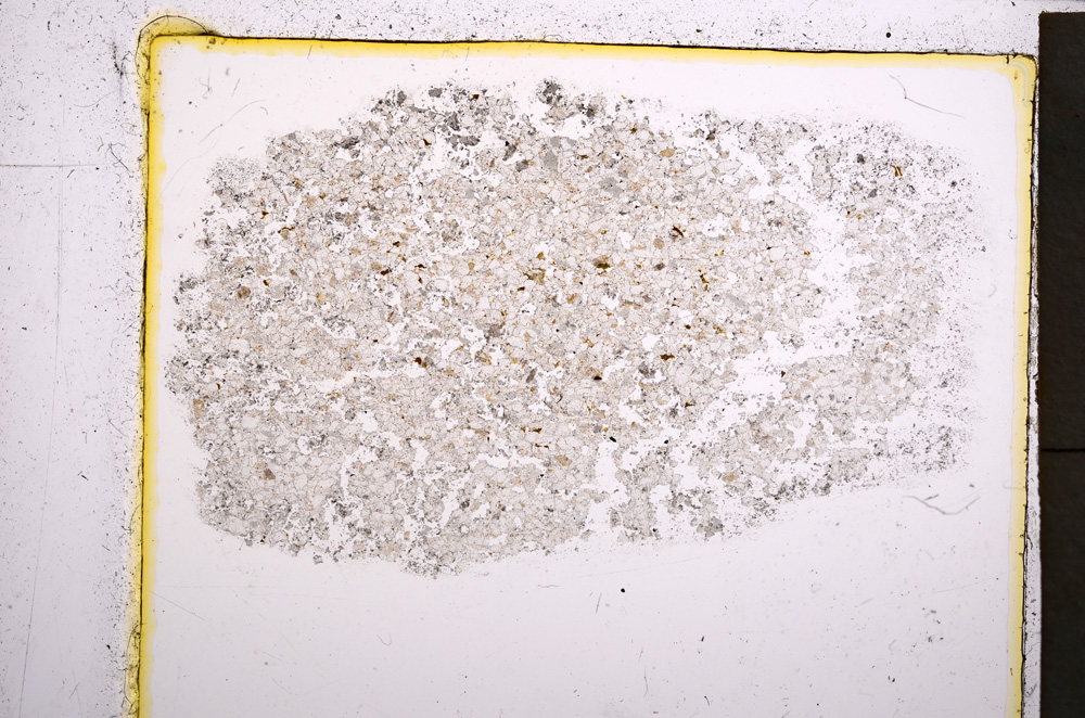 Plane Polarized, E22040