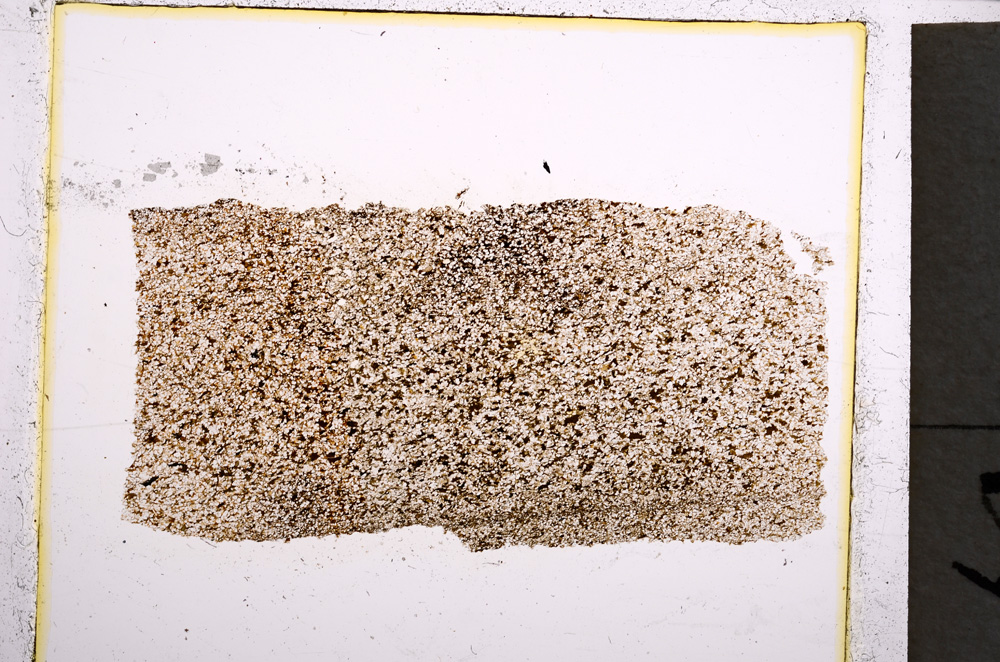 Plane Polarized, E22046