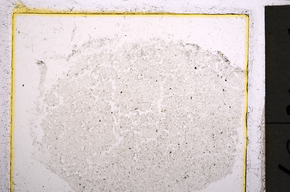 Plane Polarized, E22052