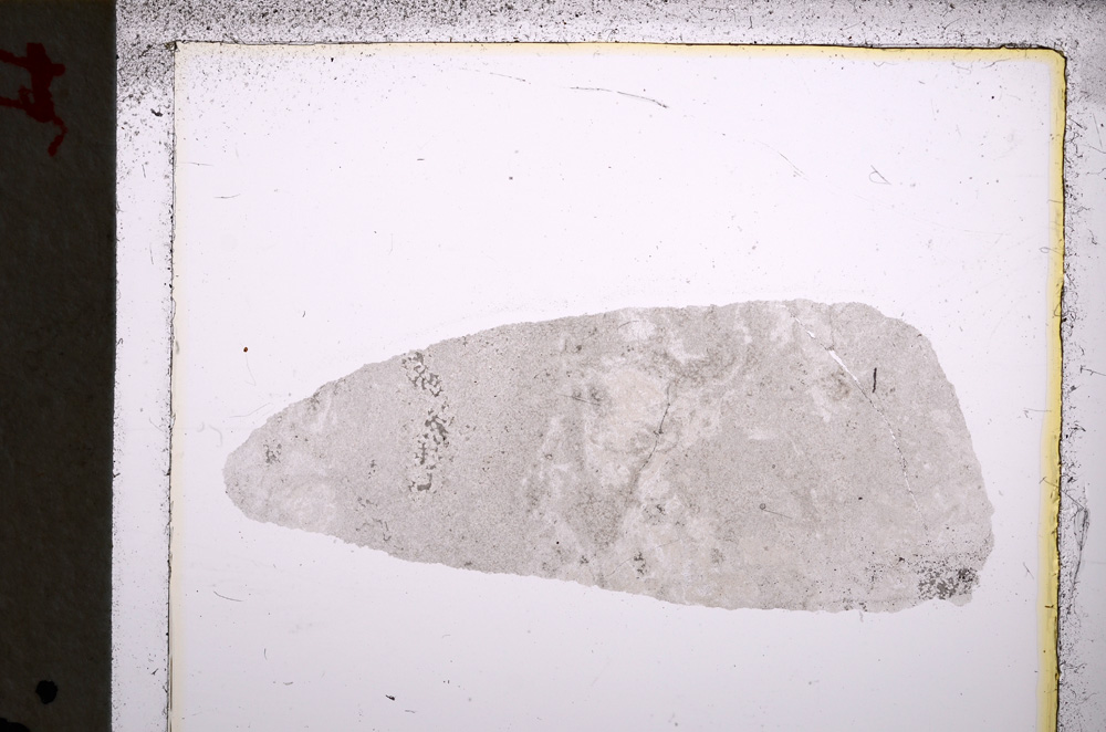 Plane Polarized, E22110