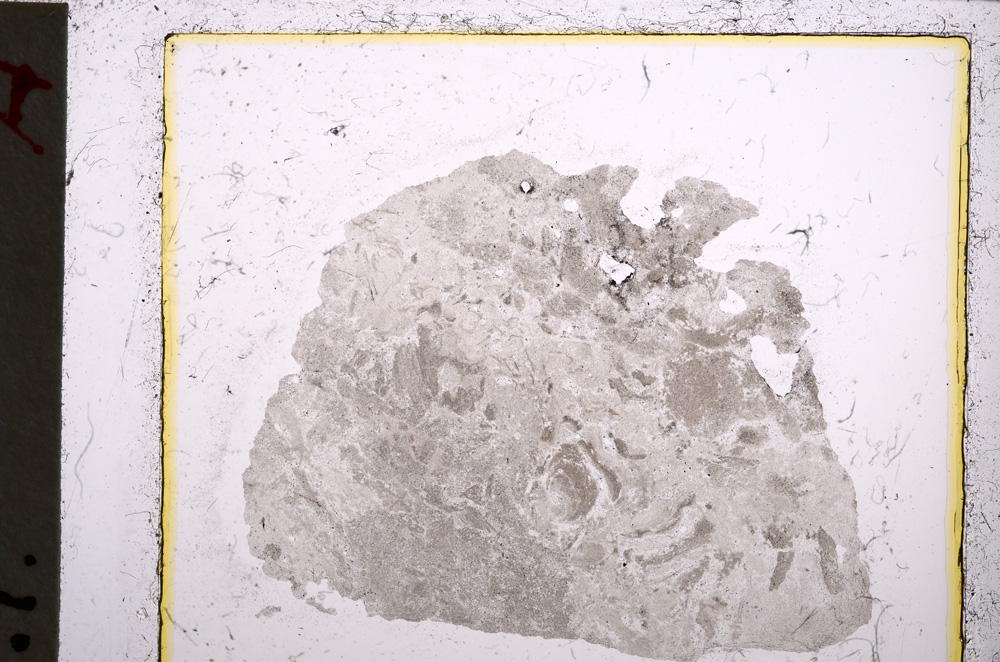 Plane Polarized, E22111