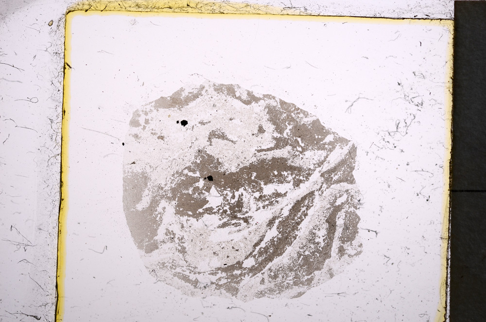 Plane Polarized, E22115