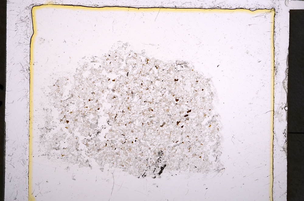 Plane Polarized, E22119