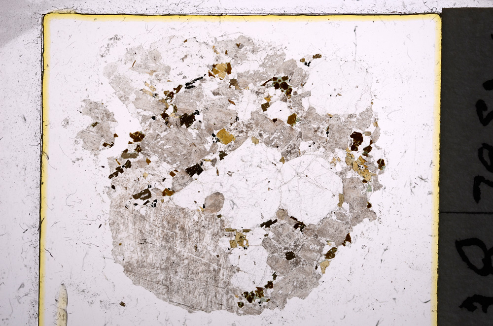 Plane Polarized, E22127