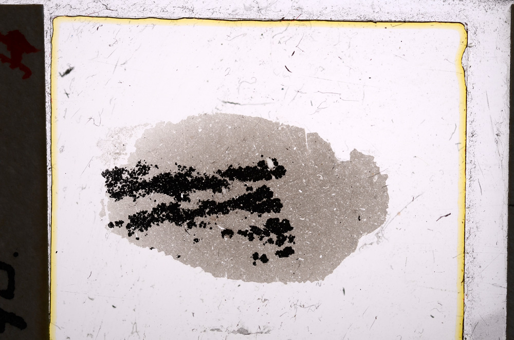 Plane Polarized, E22148