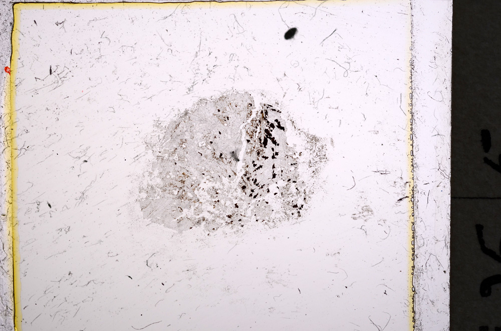 Plane Polarized, E22160