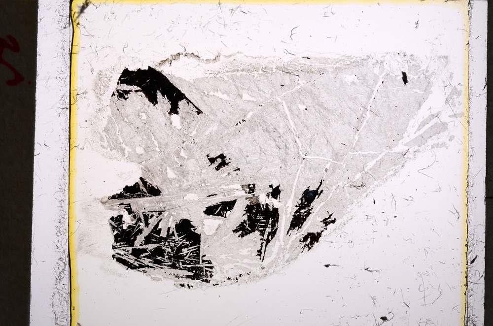 Plane Polarized, E22161