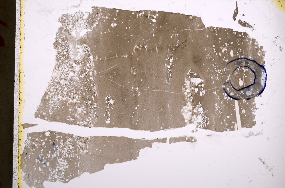 Plane Polarized, E22169