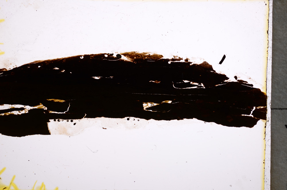 Plane Polarized, E22231