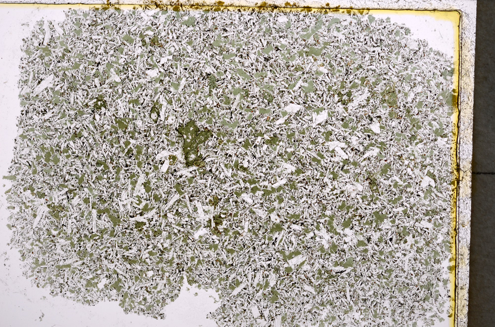 Plane Polarized, E22244