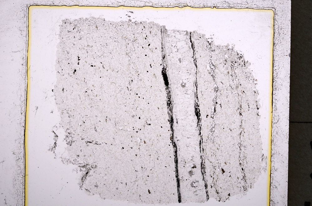 Plane Polarized, E22271